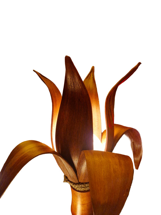 Lampe