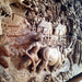 Java Holzrelief Bild